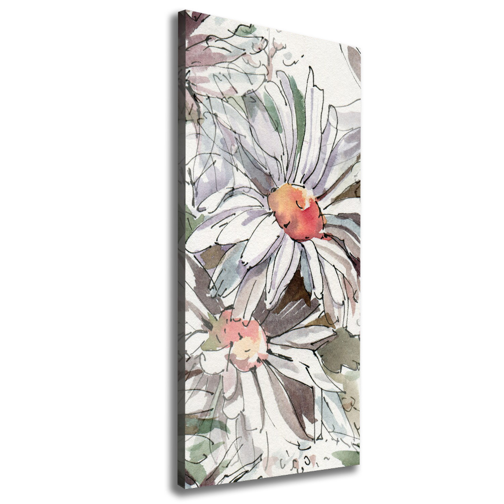 Canvas print Daisy