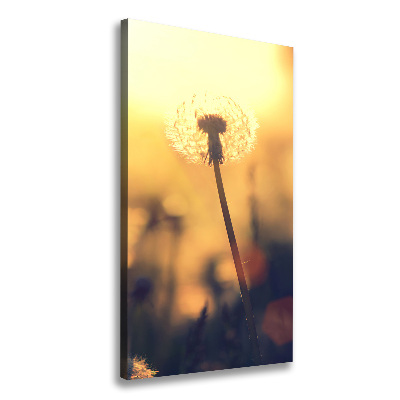 Canvas wall art Dandelion