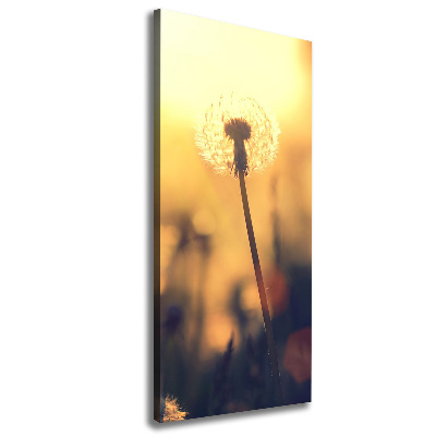 Canvas wall art Dandelion