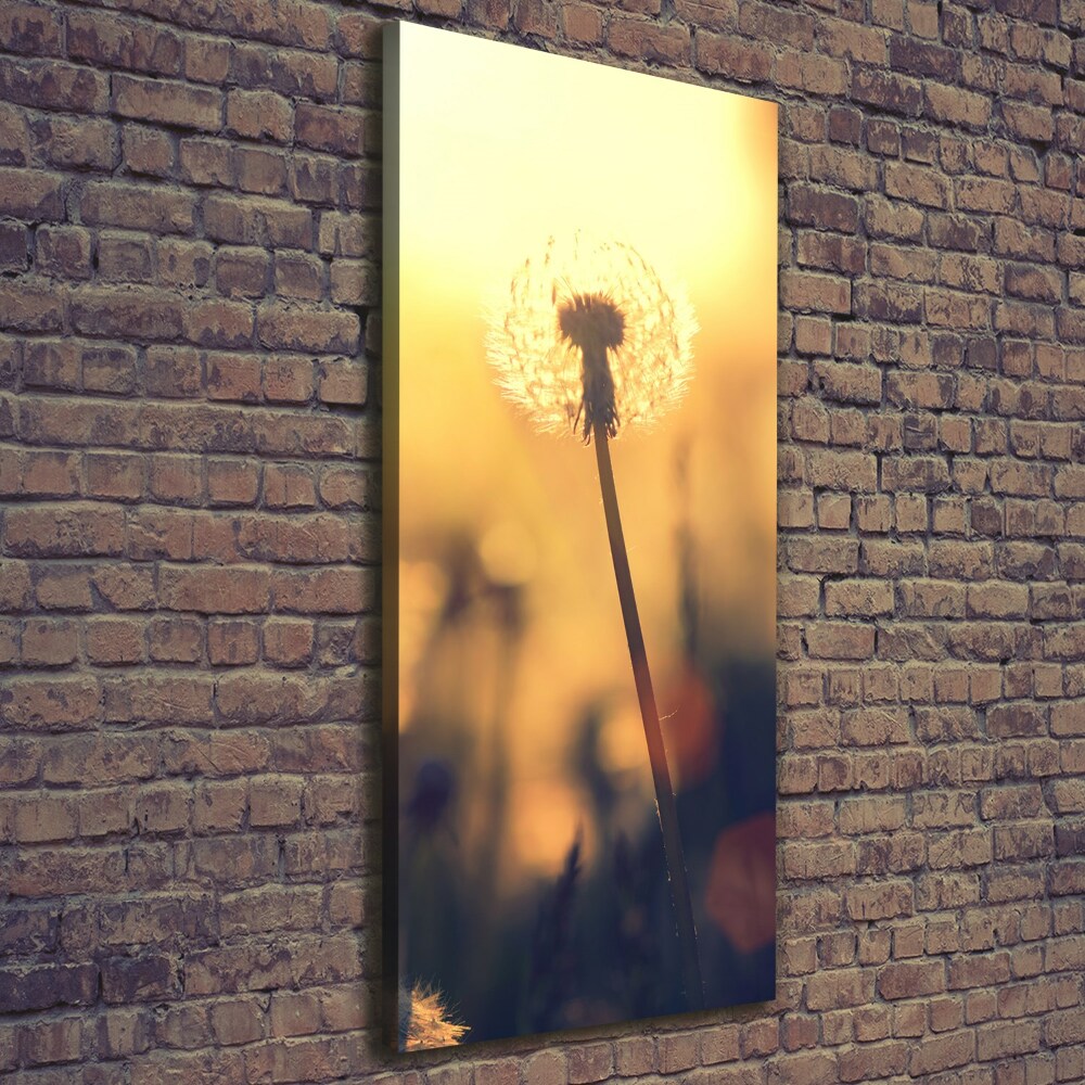 Canvas wall art Dandelion