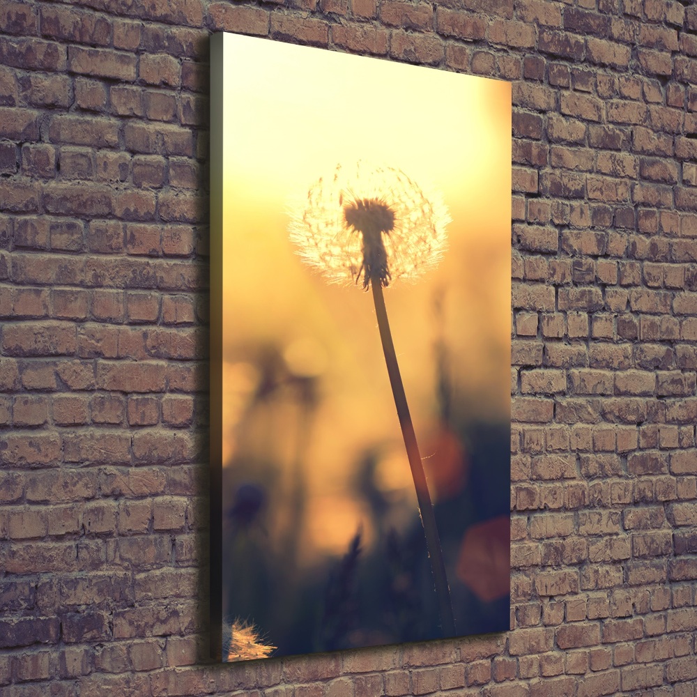 Canvas wall art Dandelion