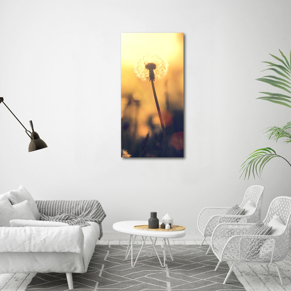 Canvas wall art Dandelion