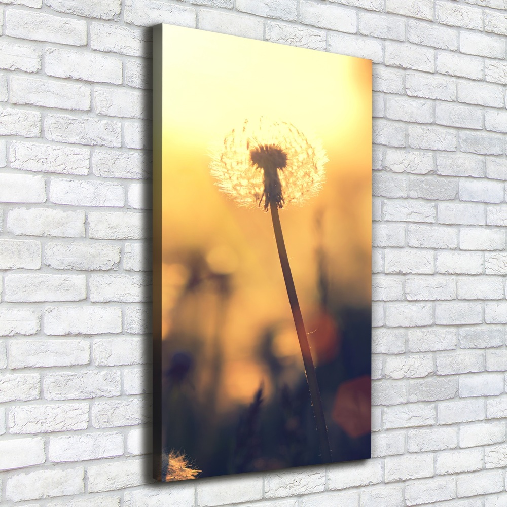 Canvas wall art Dandelion