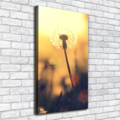 Canvas wall art Dandelion