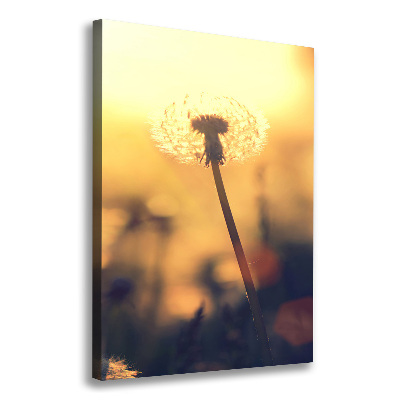 Canvas wall art Dandelion