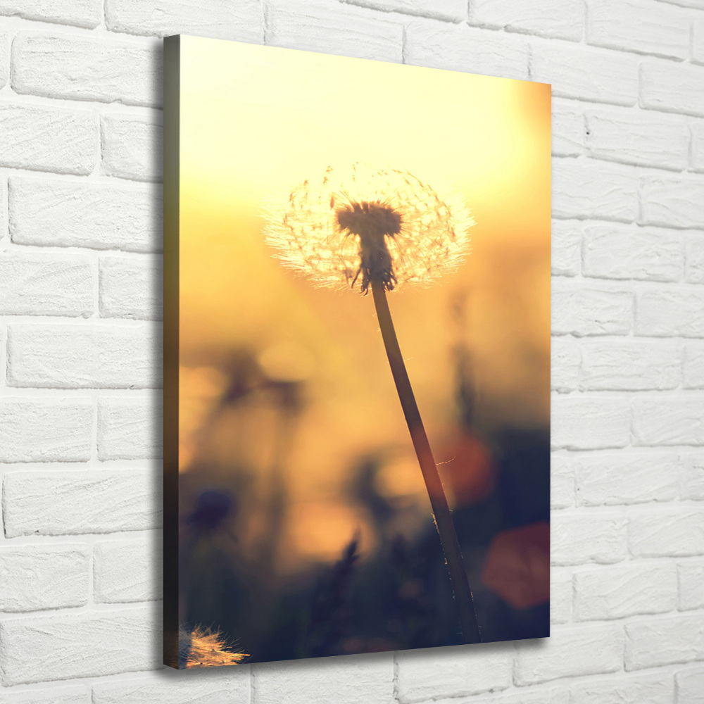 Canvas wall art Dandelion