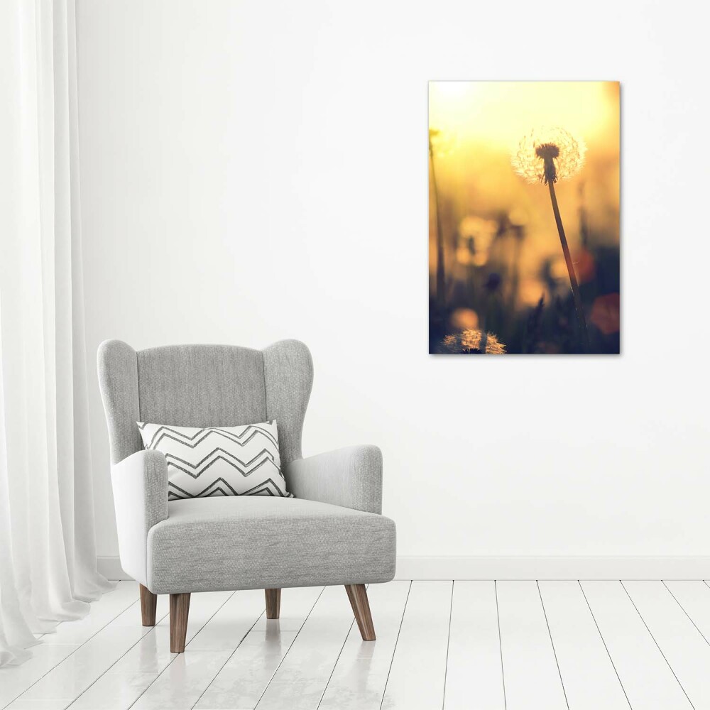 Canvas wall art Dandelion