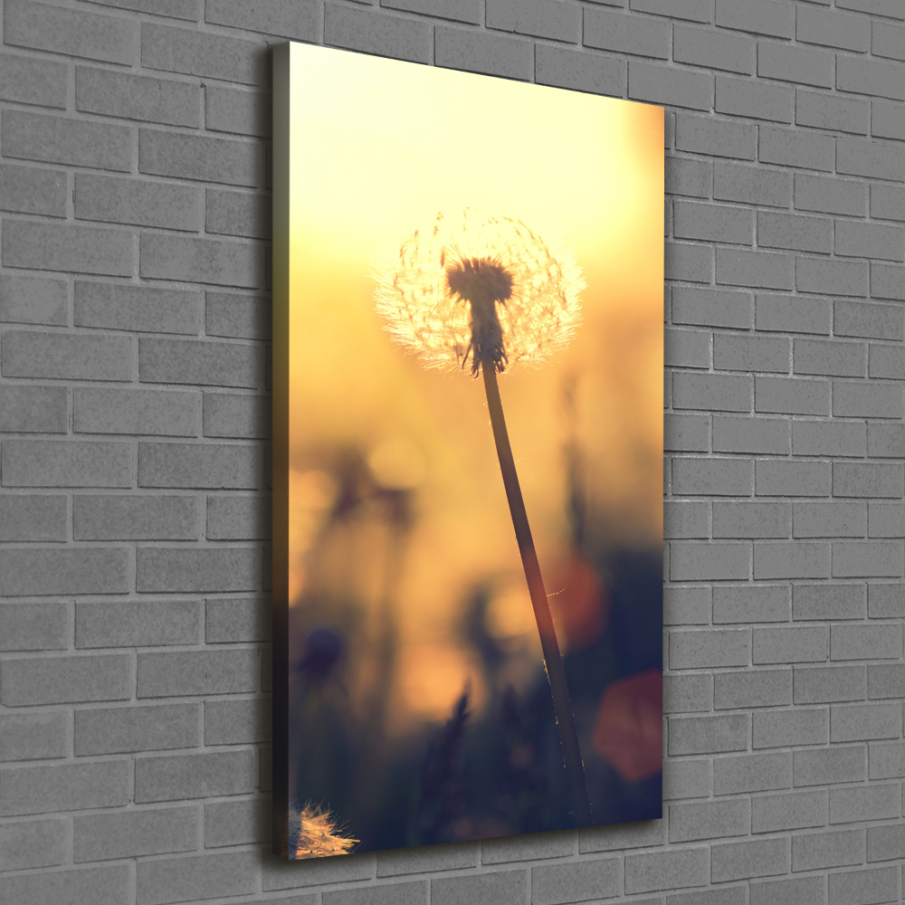 Canvas wall art Dandelion