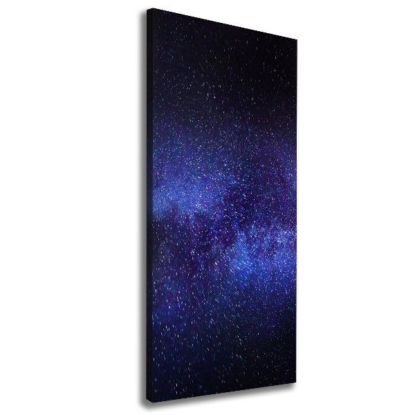 Canvas wall art Milky Way