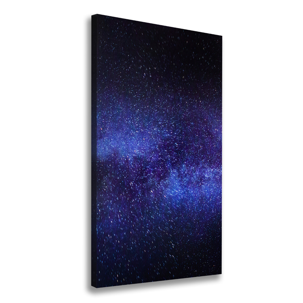 Canvas wall art Milky Way