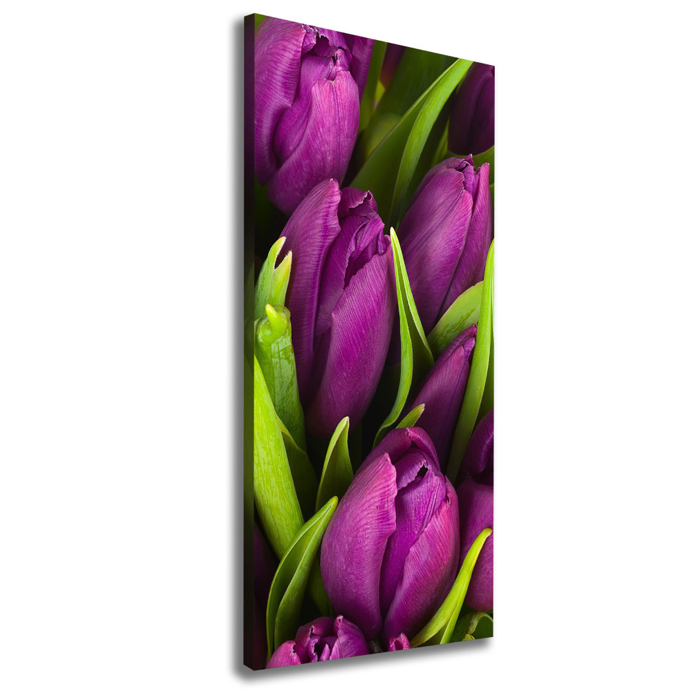 Canvas wall art Violet tulips