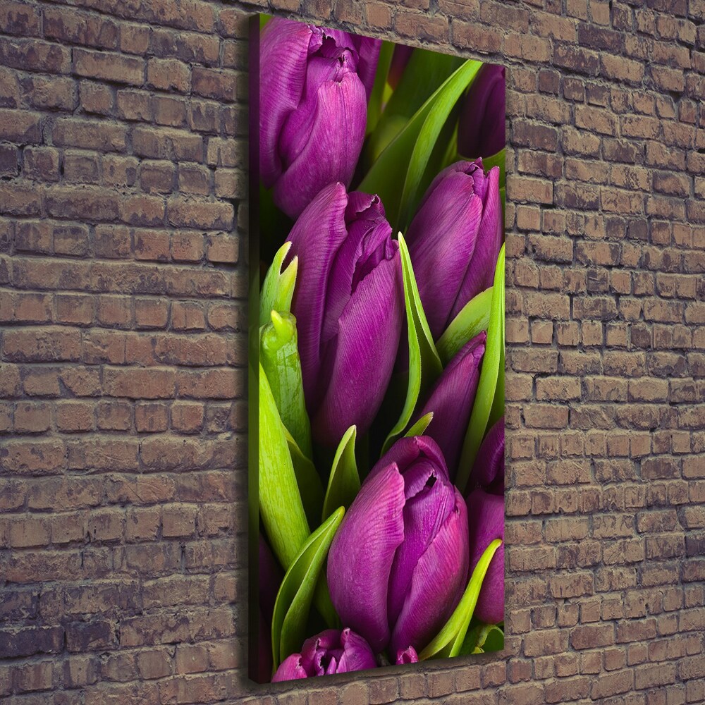 Canvas wall art Violet tulips