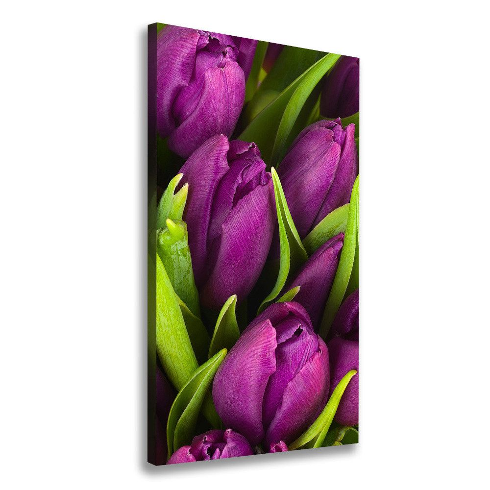 Canvas wall art Violet tulips