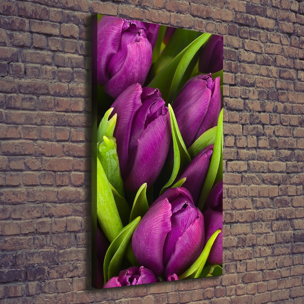 Canvas wall art Violet tulips