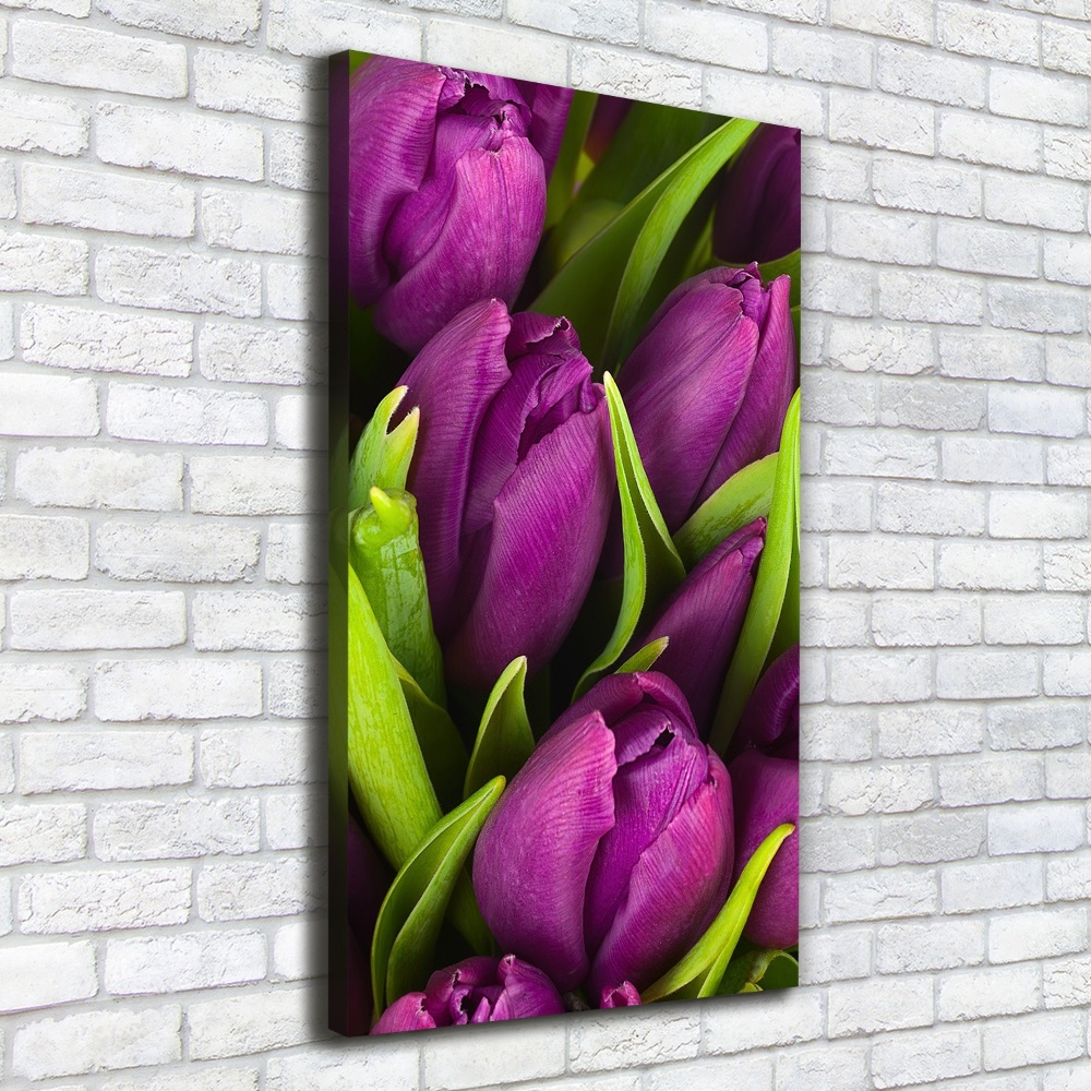 Canvas wall art Violet tulips