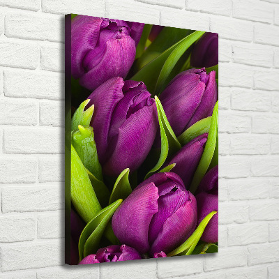 Canvas wall art Violet tulips