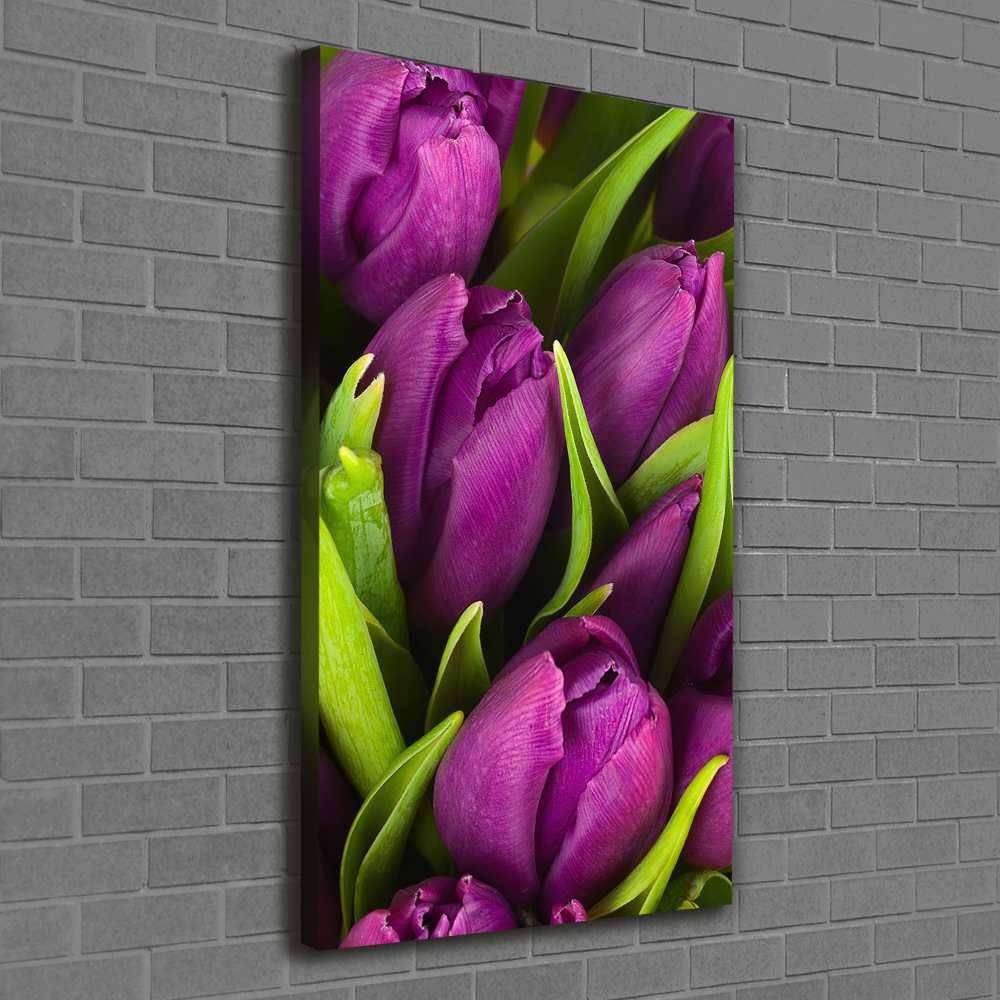 Canvas wall art Violet tulips