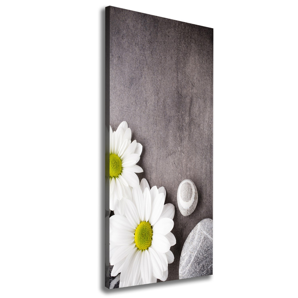 Canvas print Gerber