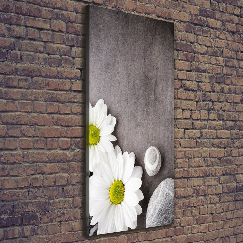 Canvas print Gerber