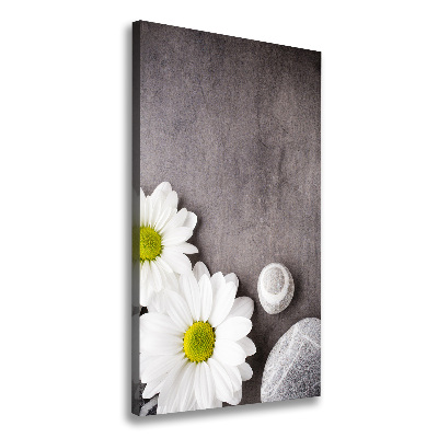 Canvas print Gerber