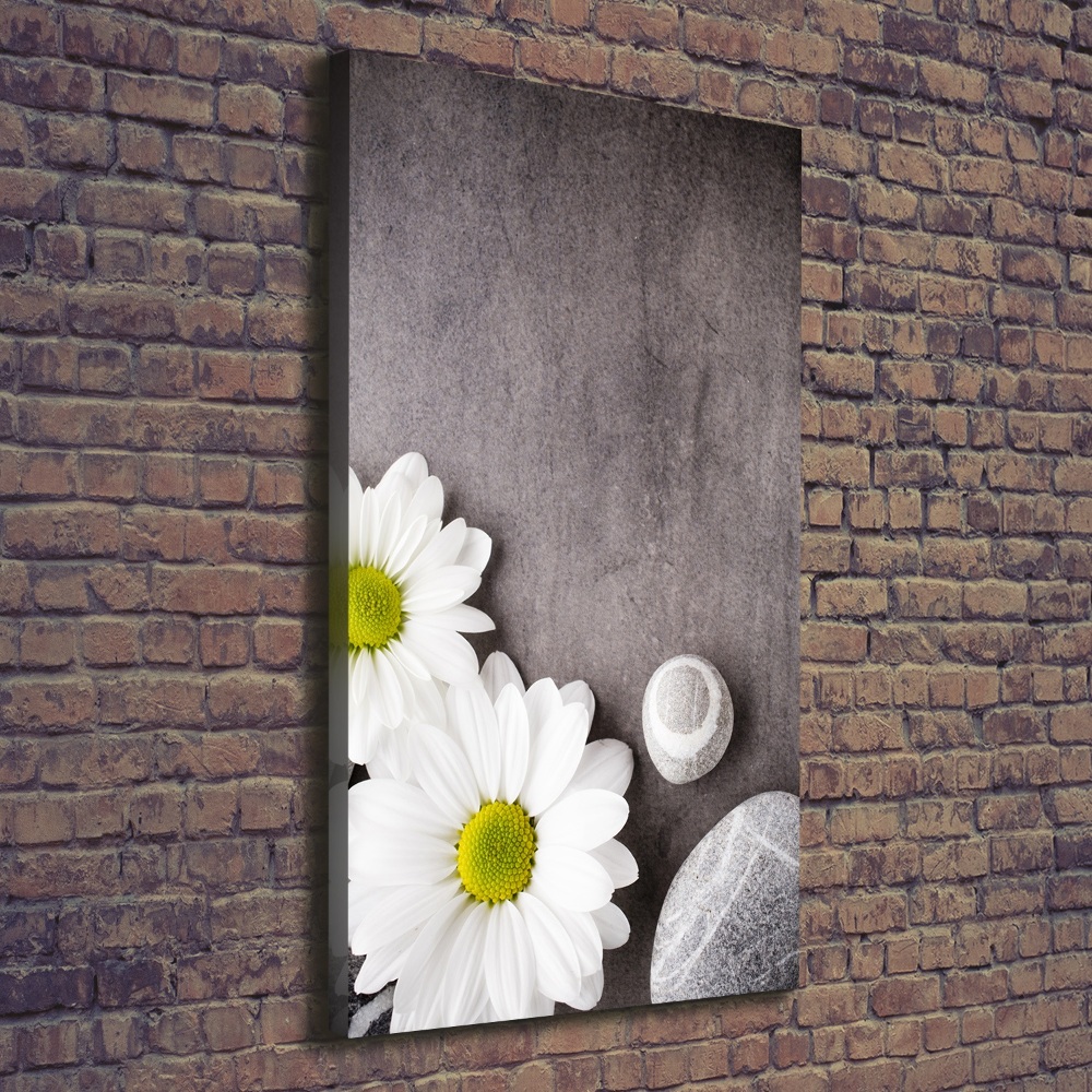 Canvas print Gerber