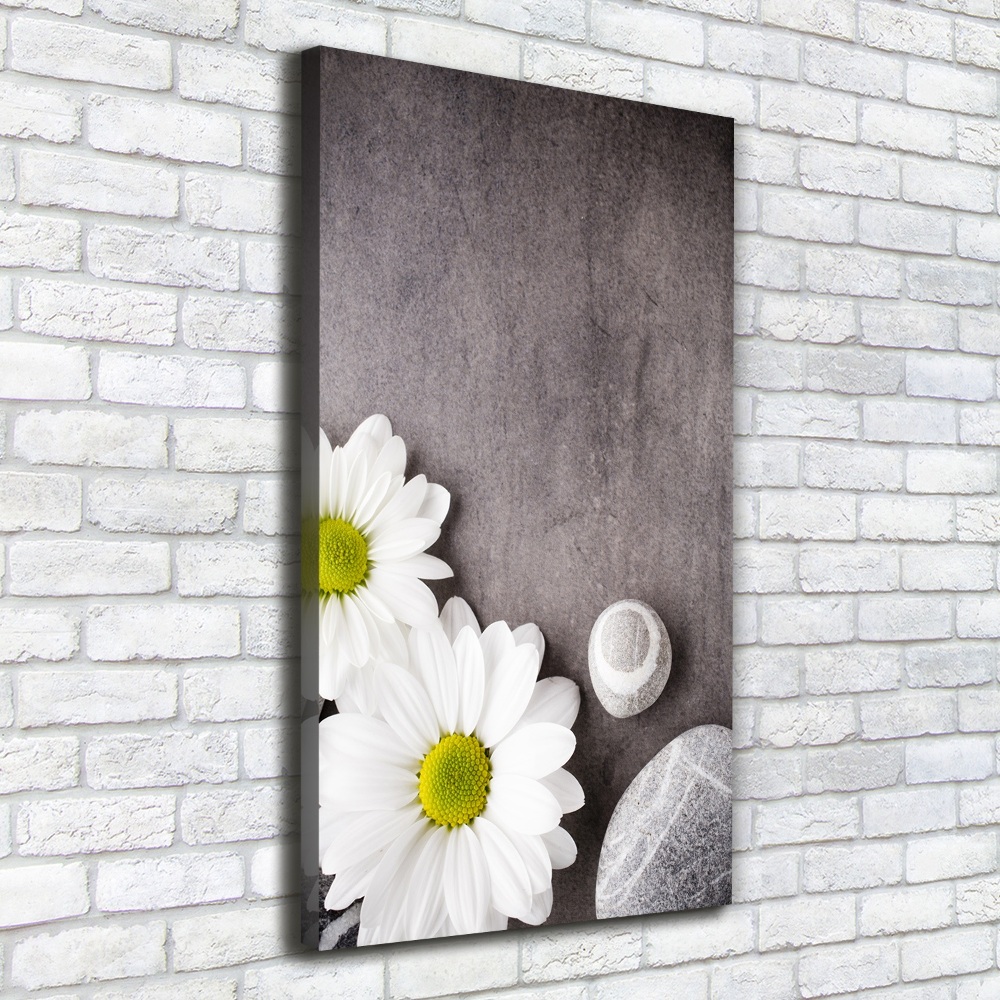 Canvas print Gerber