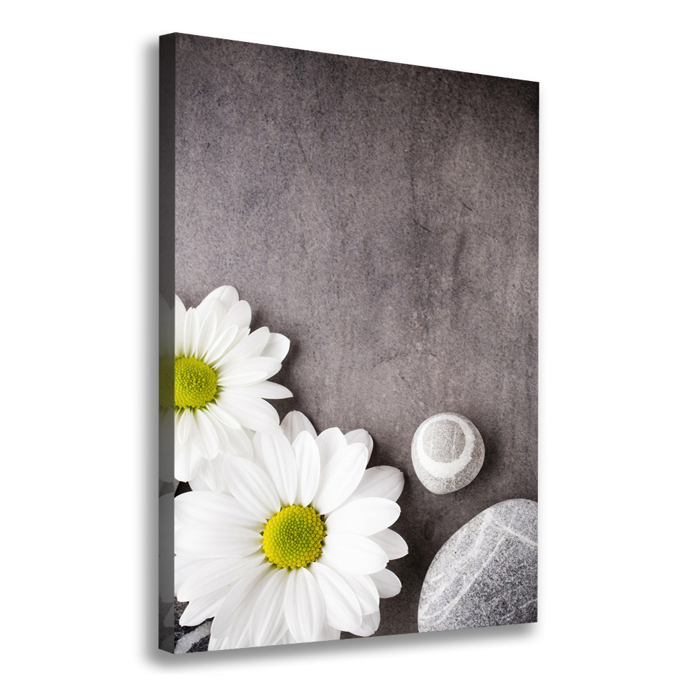 Canvas print Gerber