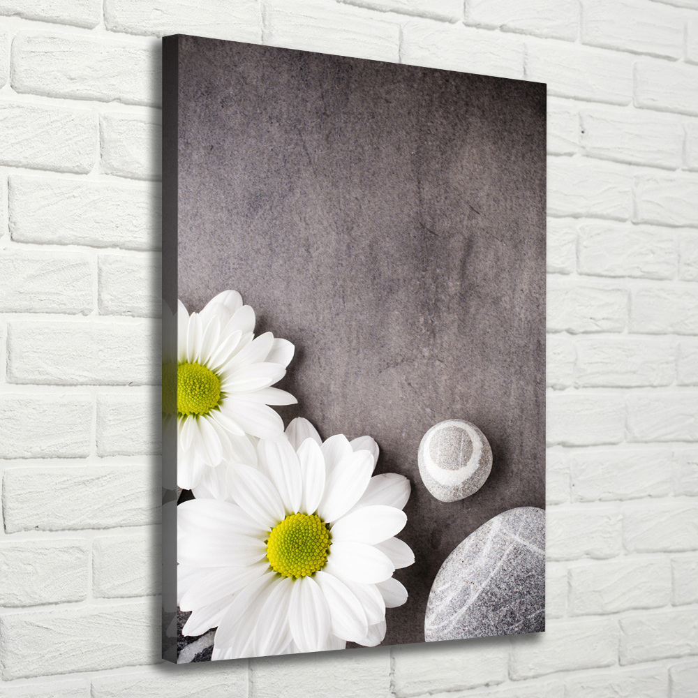 Canvas print Gerber