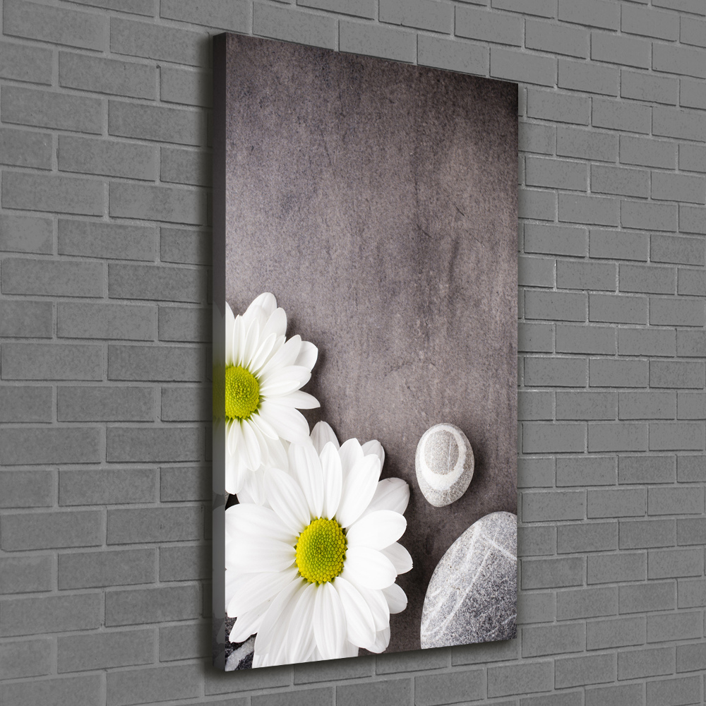 Canvas print Gerber