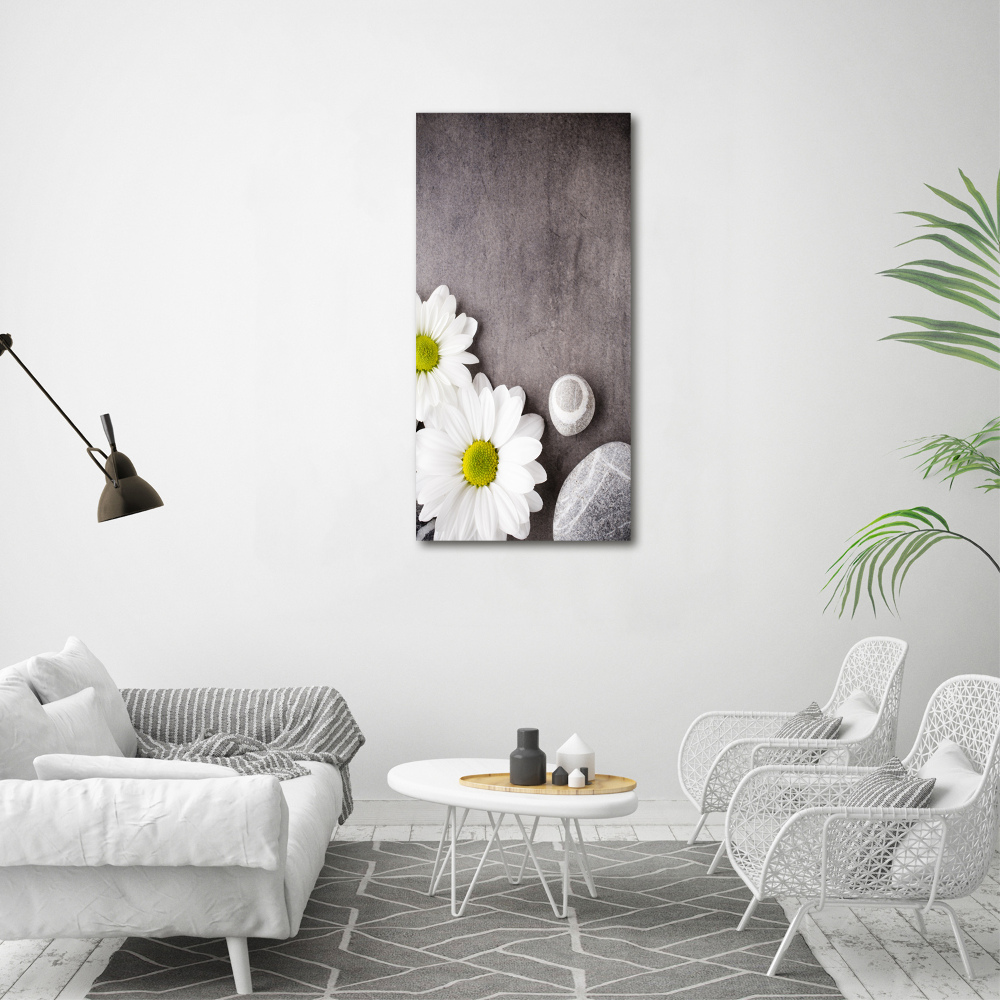 Canvas print Gerber