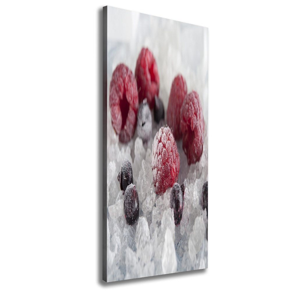 Wall art canvas large Frozen fruit