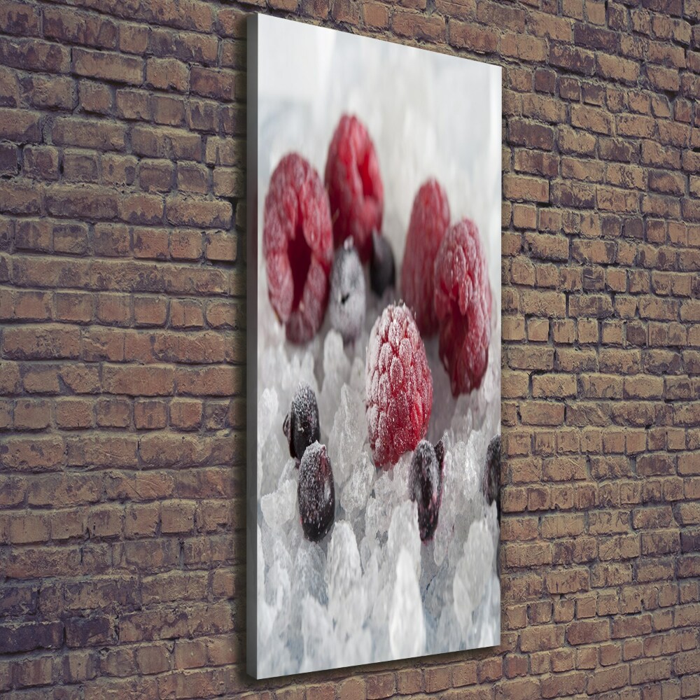 Wall art canvas large Frozen fruit