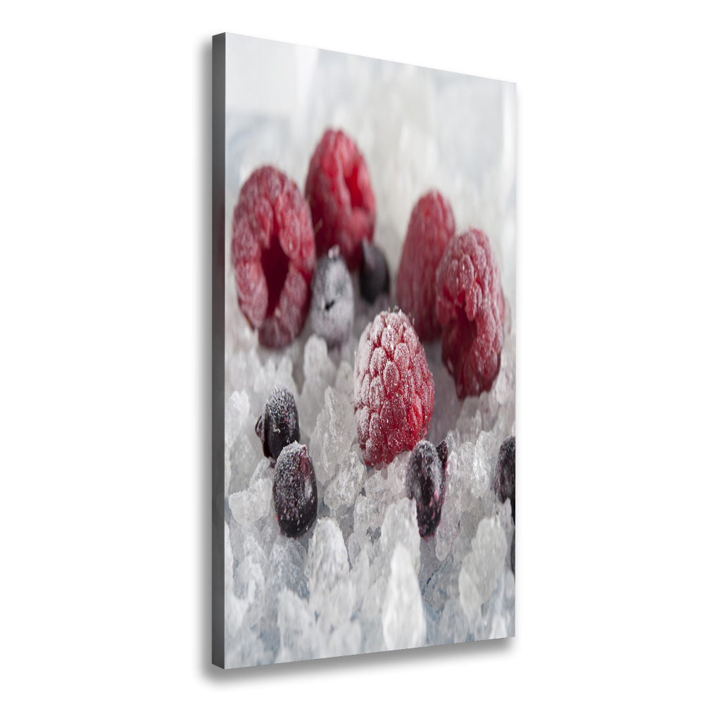 Wall art canvas large Frozen fruit