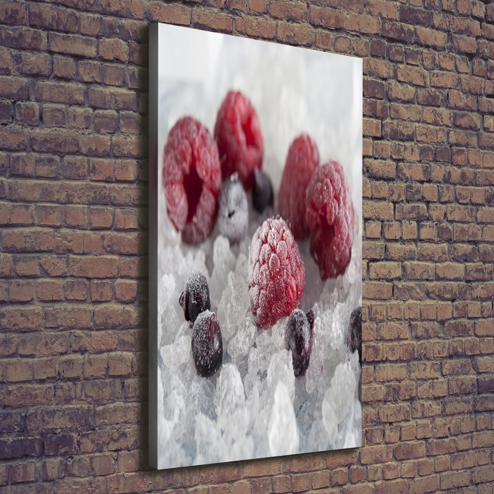 Wall art canvas large Frozen fruit