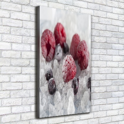 Wall art canvas large Frozen fruit