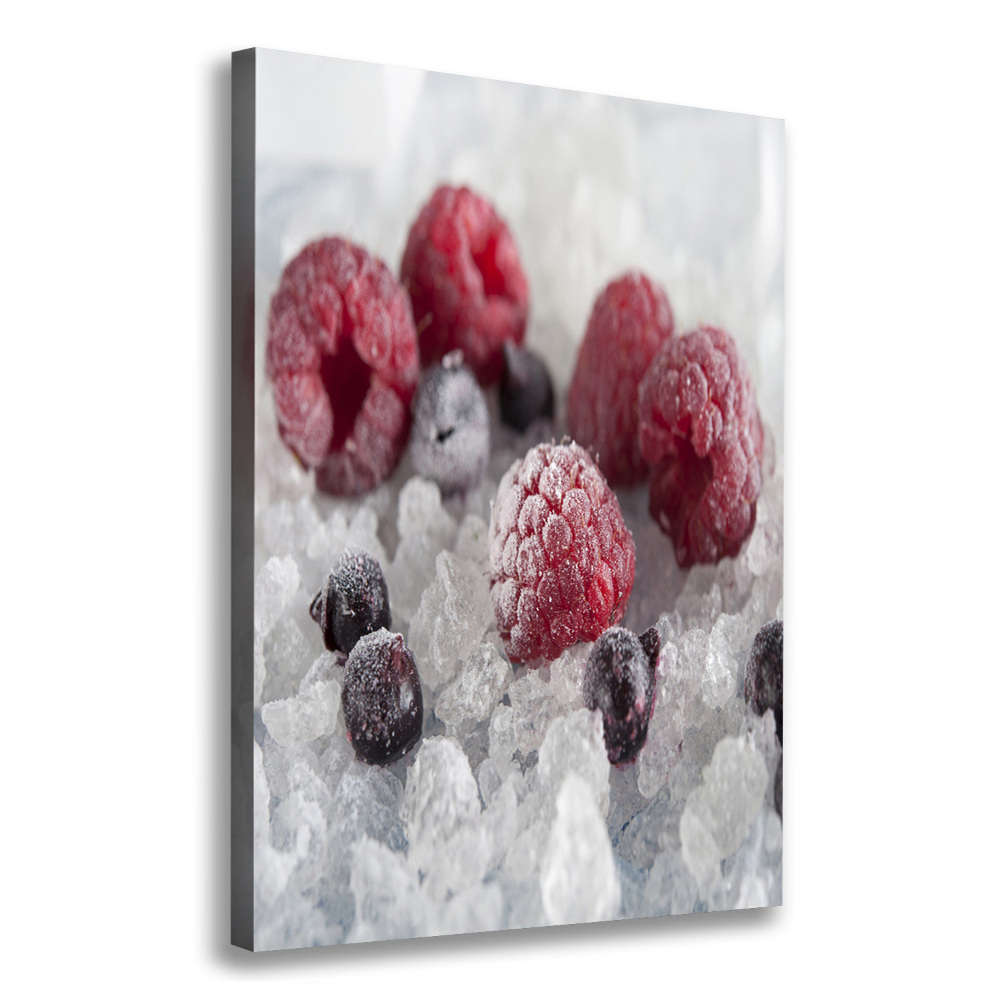 Wall art canvas large Frozen fruit