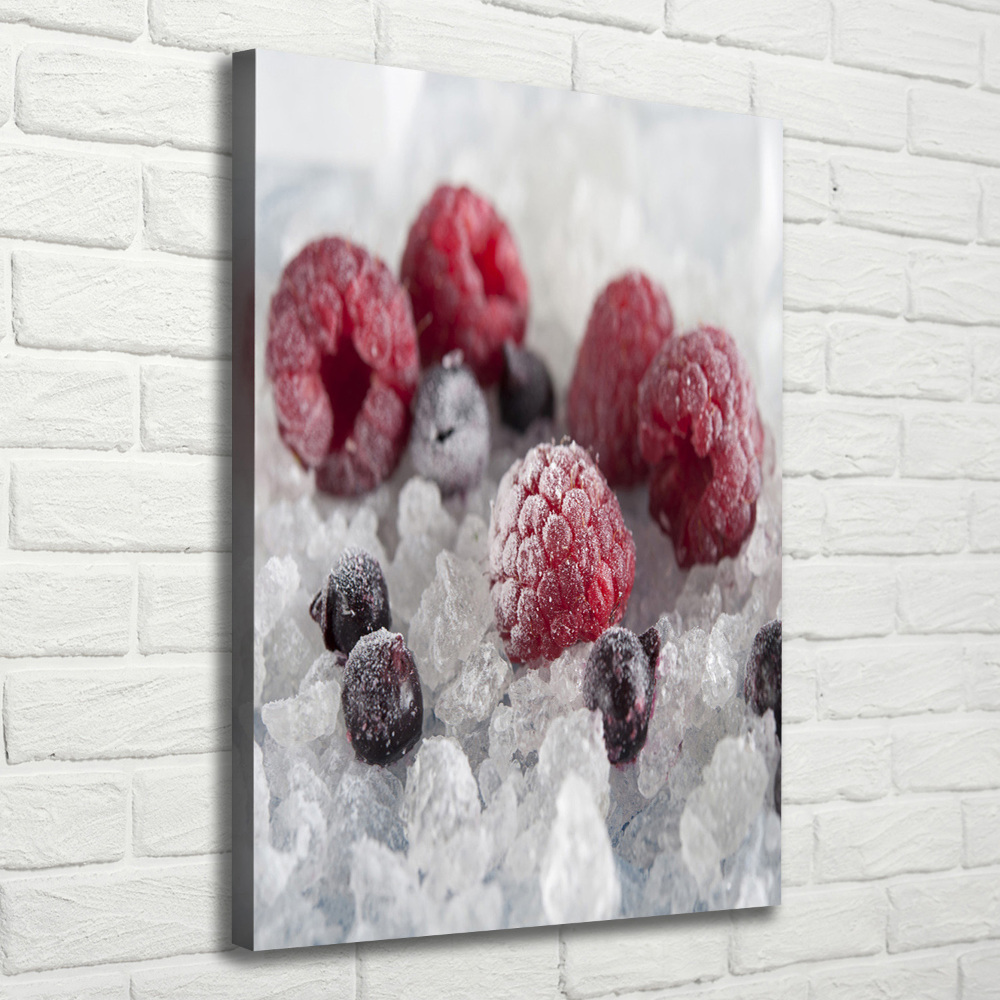 Wall art canvas large Frozen fruit