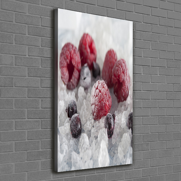 Wall art canvas large Frozen fruit