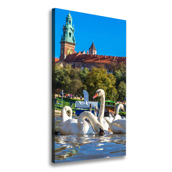 Picture canvas print Cracow Poland