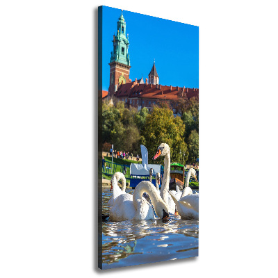 Picture canvas print Cracow Poland