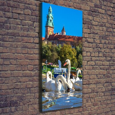 Picture canvas print Cracow Poland