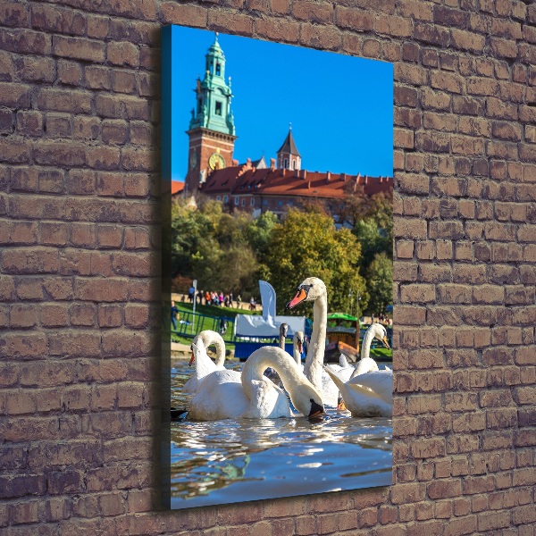 Picture canvas print Cracow Poland