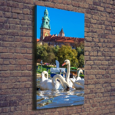 Picture canvas print Cracow Poland