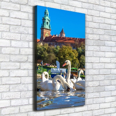 Picture canvas print Cracow Poland