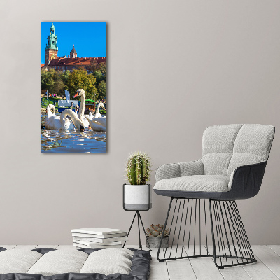 Picture canvas print Cracow Poland