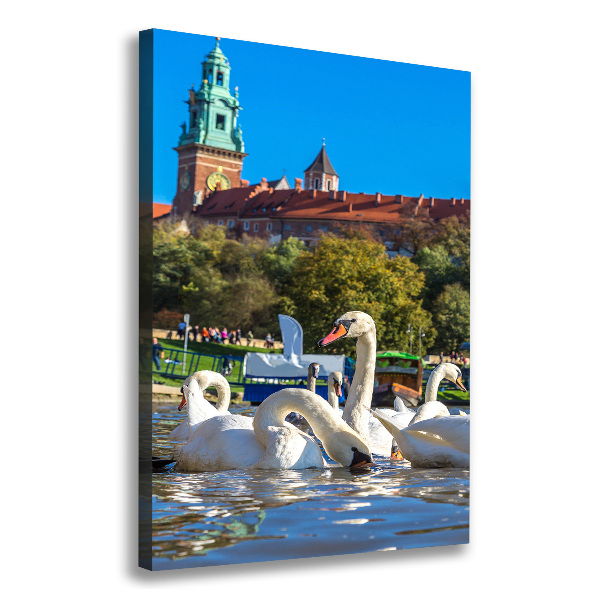 Picture canvas print Cracow Poland