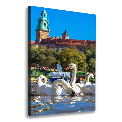 Picture canvas print Cracow Poland