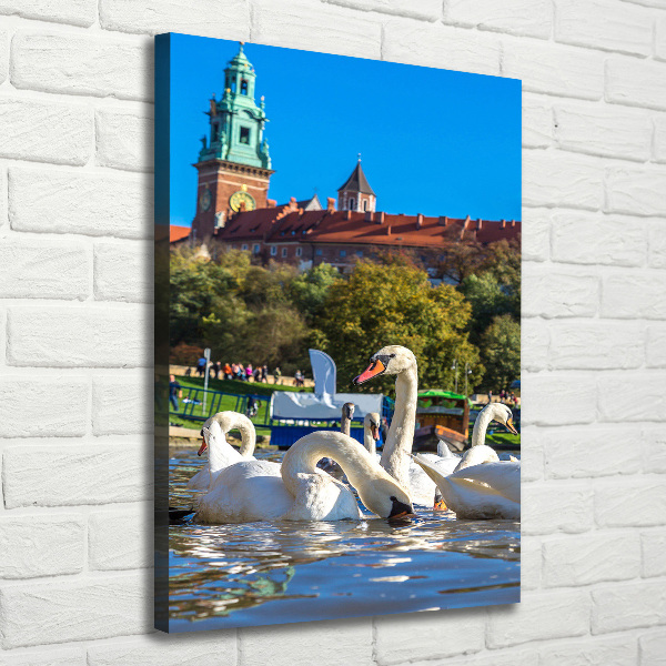 Picture canvas print Cracow Poland