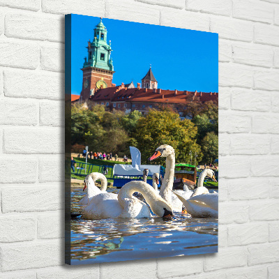 Picture canvas print Cracow Poland