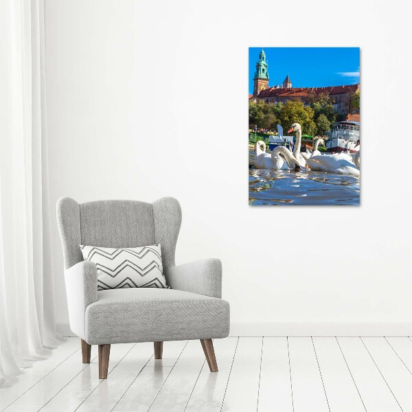 Picture canvas print Cracow Poland